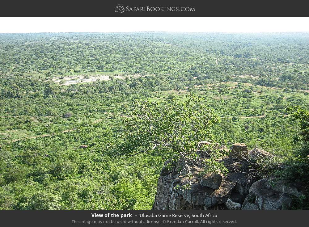 View of the park in Ulusaba Game Reserve, South Africa