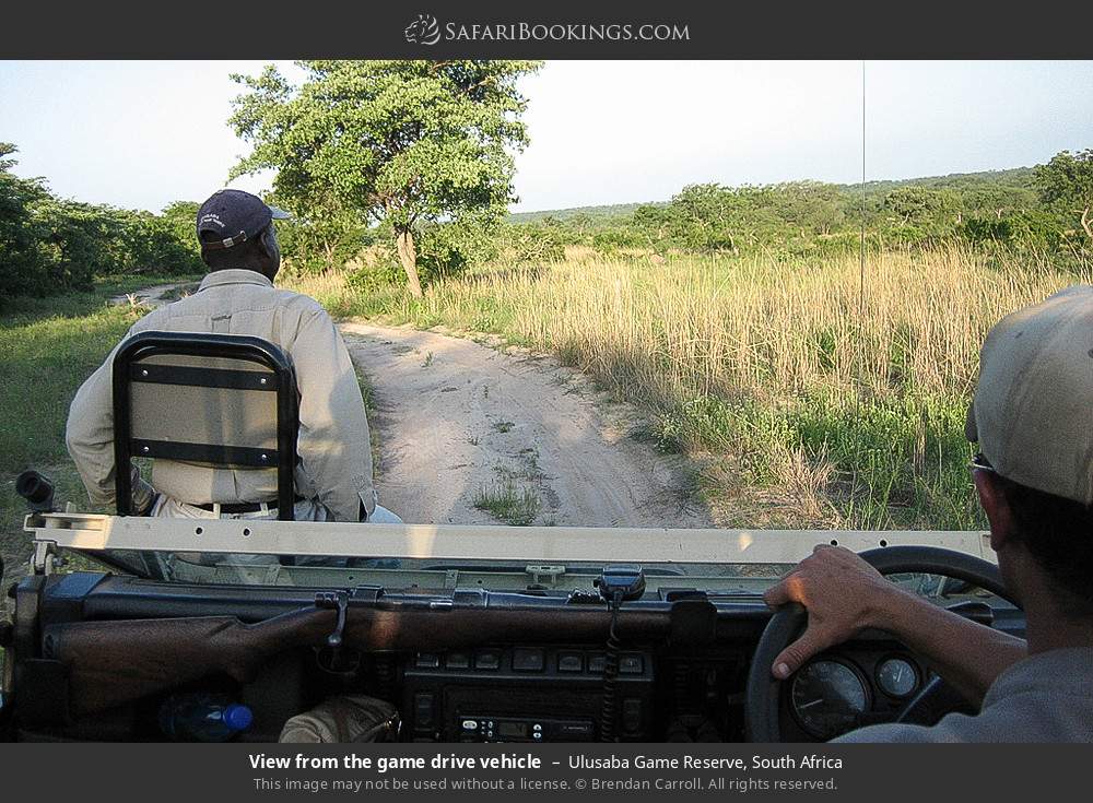 View from the game drive vehicle in Ulusaba Game Reserve, South Africa