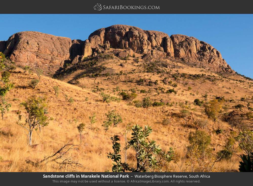 Sandstone cliffs in Marakele National Park in Waterberg Biosphere Reserve, South Africa