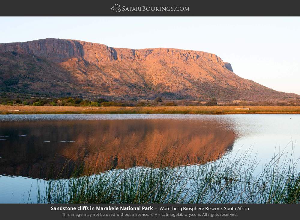 Sandstone cliffs in Marakele National Park in Waterberg Biosphere Reserve, South Africa