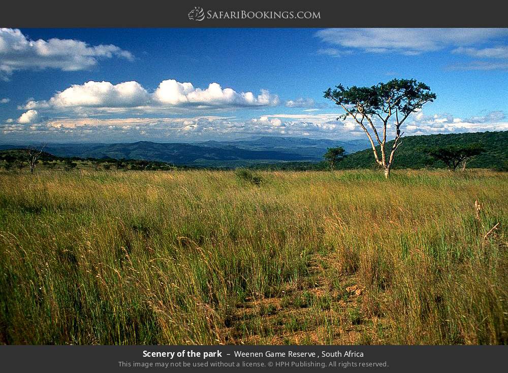 Scenery of the park in Weenen Game Reserve , South Africa