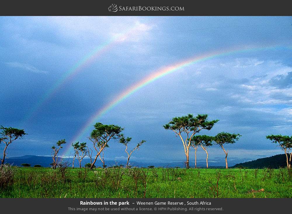Rainbows in the park in Weenen Game Reserve , South Africa