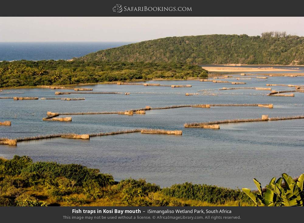 Fish traps in Kosi Bay mouth in iSimangaliso Wetland Park, South Africa