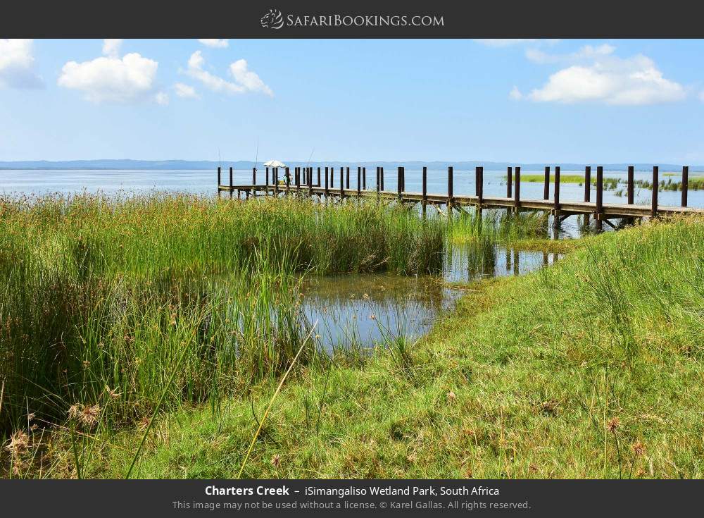 Charters Creek in iSimangaliso Wetland Park, South Africa