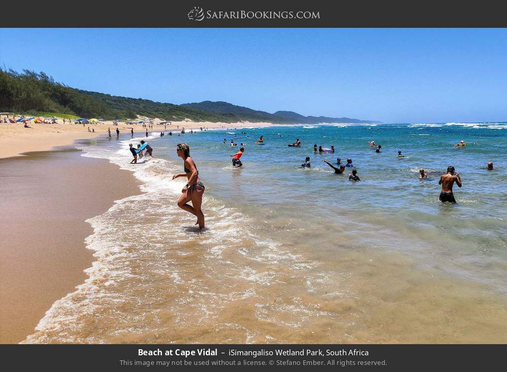 Beach at Cape Vidal in iSimangaliso Wetland Park, South Africa