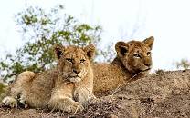 Dulini Private Game Reserve
