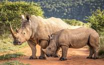 Shamwari Private Game Reserve