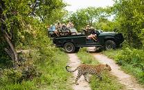Singita Sabi Sand Private Game Reserve
