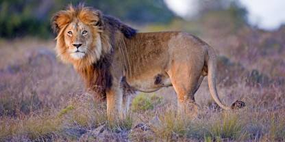 Amakhala Private Game Reserve