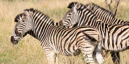 Hluhluwe-iMfolozi Game Reserve