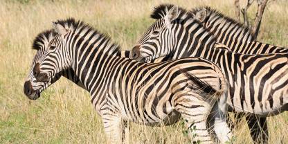 Hluhluwe-iMfolozi Game Reserve