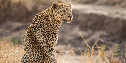 Idube Game Reserve