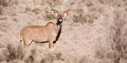 Karoo National Park