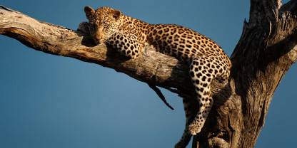 Kruger National Park