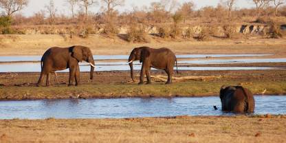 Manyeleti Game Reserve