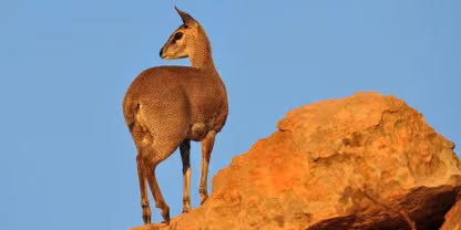 Mapungubwe National Park