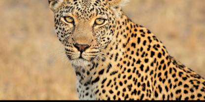 South Africa