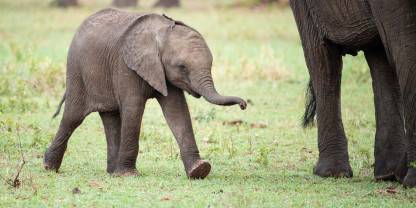 Umkumbe Private Game Reserve