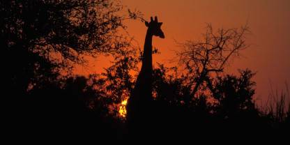 Weenen Game Reserve