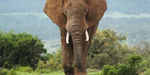 3-Day Aquilla Private Game Reserve