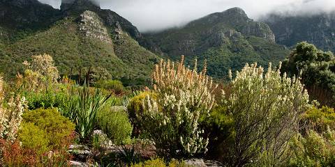 3-Day Aquila Inverdoorn Big Five Safari Escape