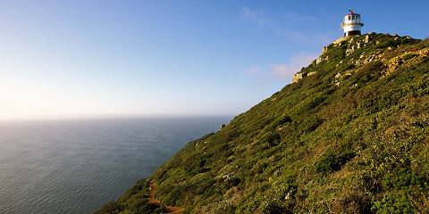 1-Day Shared Tour Cape Peninsula Penguins, Seals & More