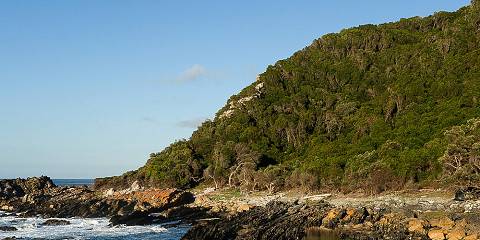 5-Day Garden Route & Addo Safari Adventure