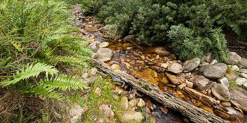 4-Day Private Scenic, Wild Romantic Garden Route Tour