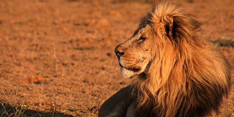 5-Day Hwange and Lake Kariba Discovery