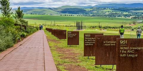 1-Day City of Pretoria & Lion Park Adventure