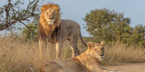 7-Day Safari in Two Private Reserves