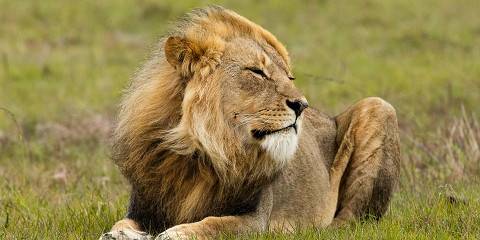 3-Day Best of Kruger Classic Safari