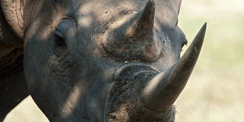 5-Day Bundox Explorer Camp Experience