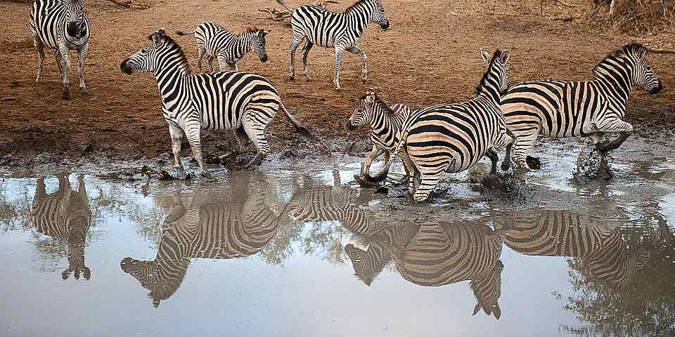 9-Day From the Great Northern Bush to the Zanzibar Beach