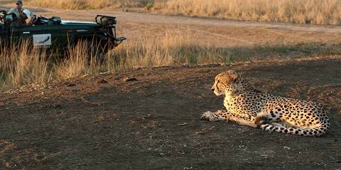 5-Day Affordable Greater Kruger Safari Combo