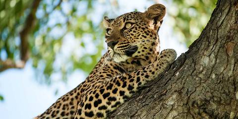 In Kruger National Park