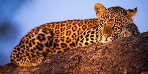 5-Day Kapama Karula the Gift of Time