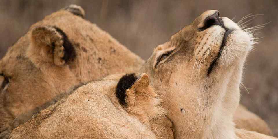 9-Day Kruger & Mozambique (Luxury)