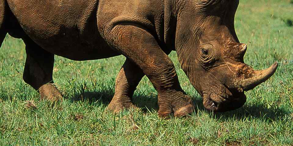 3-Day Outstanding Adventures