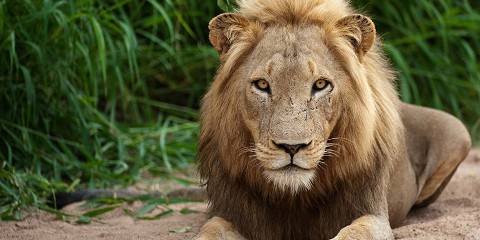 2-Day Manyara and Ngorongoro Crater