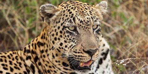 7-Day South Africa Luxury Tour