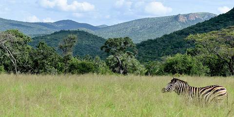 8-Day Women-Only Group Tour - the Art of the Wild