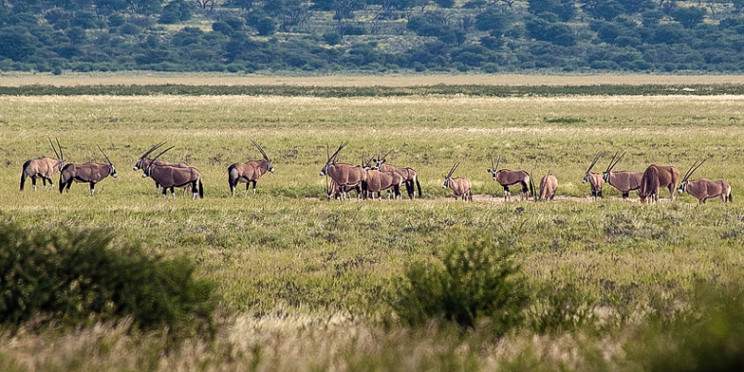 5-Day Highlights of Kruger & Panorama Safari