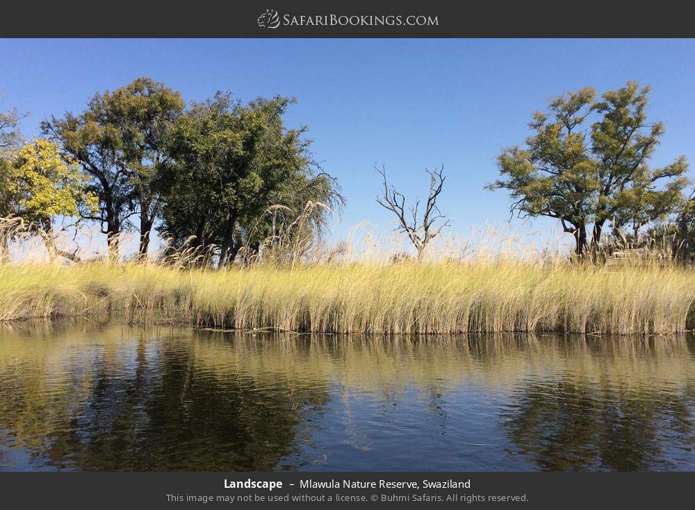 Landscape in Mlawula Nature Reserve, Swaziland