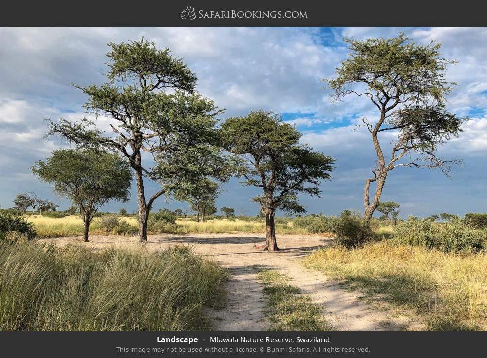 Landscape in Mlawula Nature Reserve, Swaziland