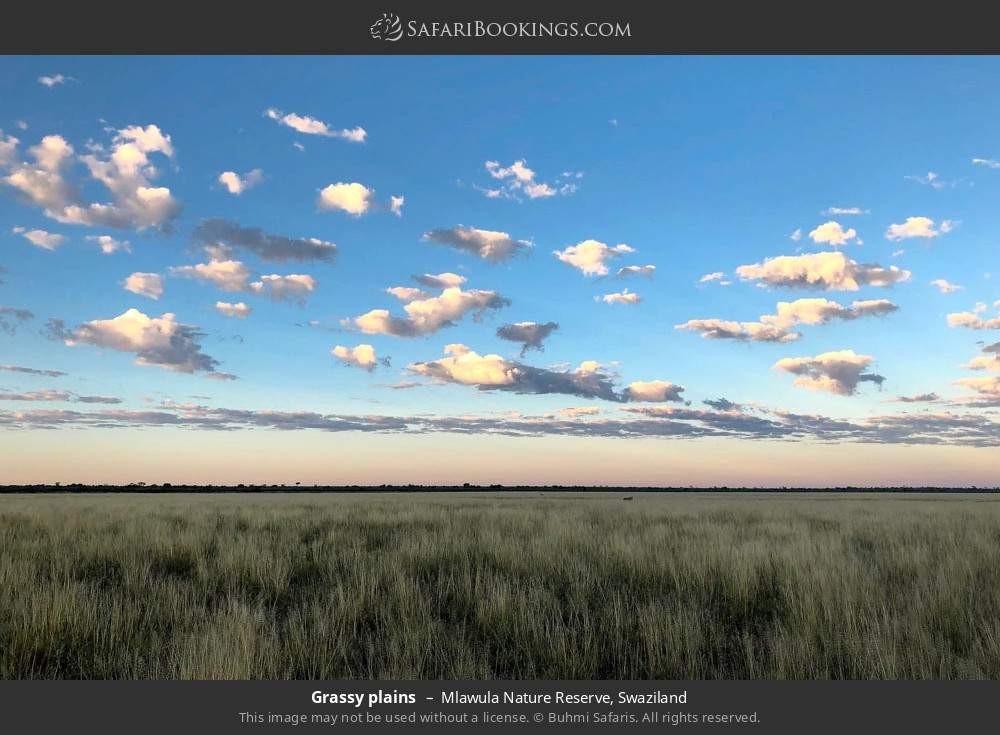 Grassy plains in Mlawula Nature Reserve, Swaziland