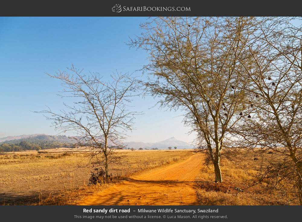 Red sandy dirt road in Mlilwane Wildlife Sanctuary, Swaziland