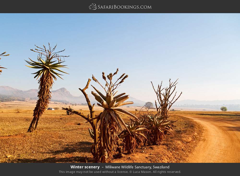 Winter scenery in Mlilwane Wildlife Sanctuary, Swaziland