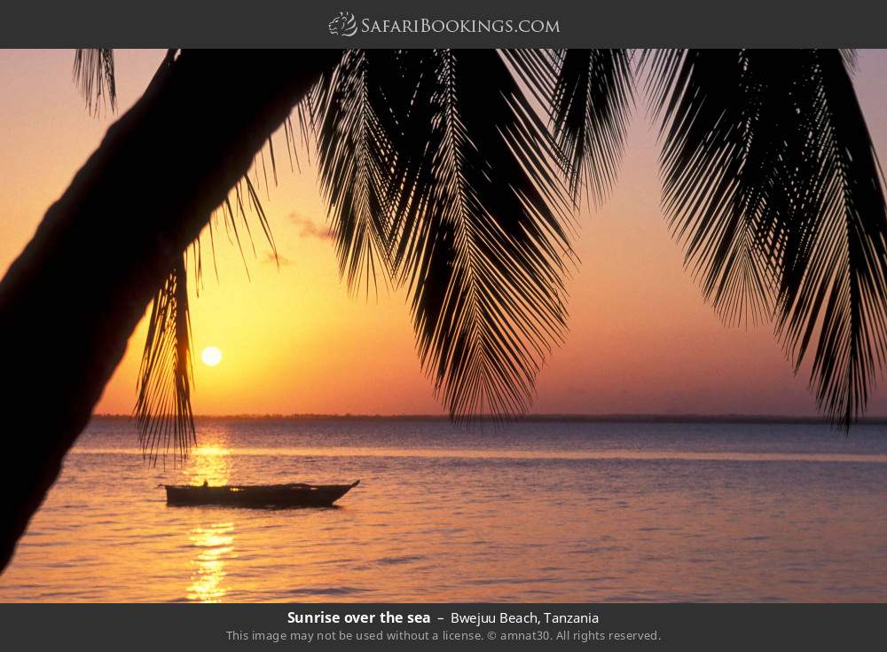 Sunrise over the sea in Bwejuu Beach, Tanzania