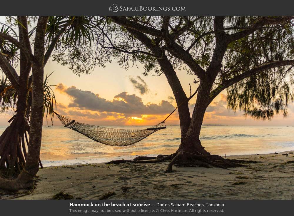 Hammock on the beach at sunrise in Dar es Salaam Beaches, Tanzania